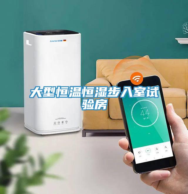 大型恒溫恒濕步入室試驗房