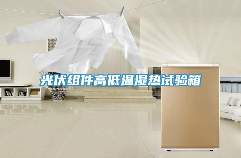 光伏組件高低溫濕熱試驗箱