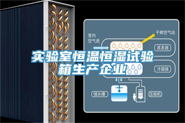 實驗室恒溫恒濕試驗箱生產企業