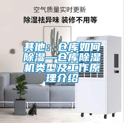 其他：倉庫如何除濕—倉庫除濕機類型及工作原理介紹