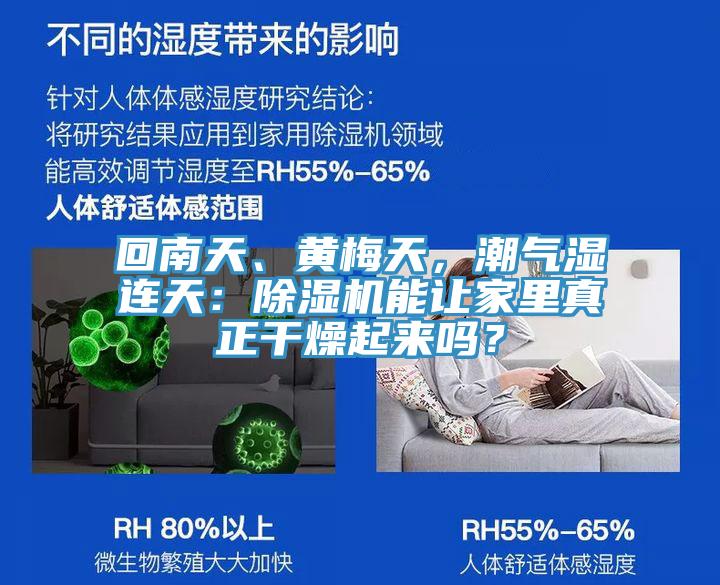 回南天、黃梅天，潮氣濕連天：除濕機能讓家里真正干燥起來嗎？