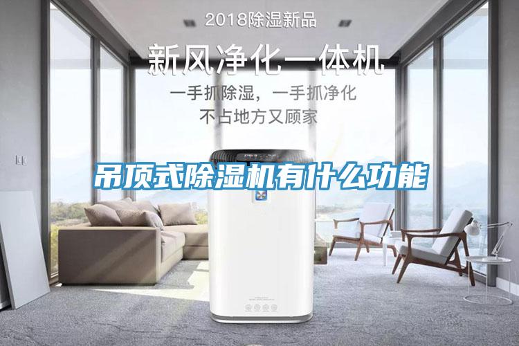 吊頂式除濕機有什么功能