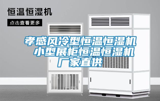 孝感風冷型恒溫恒濕機 小型展柜恒溫恒濕機廠家直供