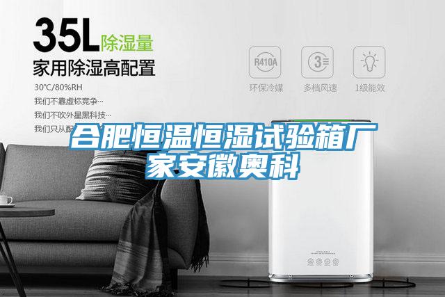 合肥恒溫恒濕試驗箱廠家安徽奧科