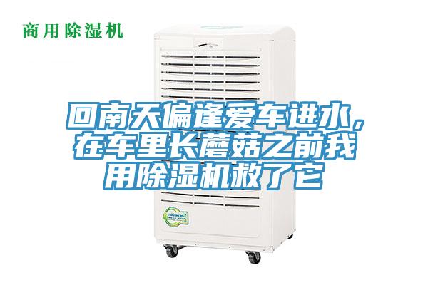 回南天偏逢愛車進水，在車里長蘑菇之前我用除濕機救了它