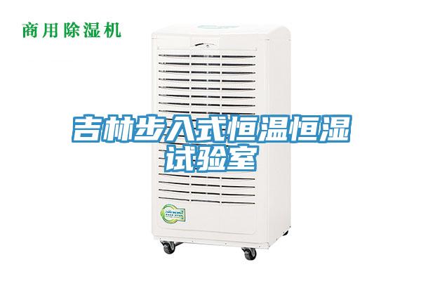 吉林步入式恒溫恒濕試驗室