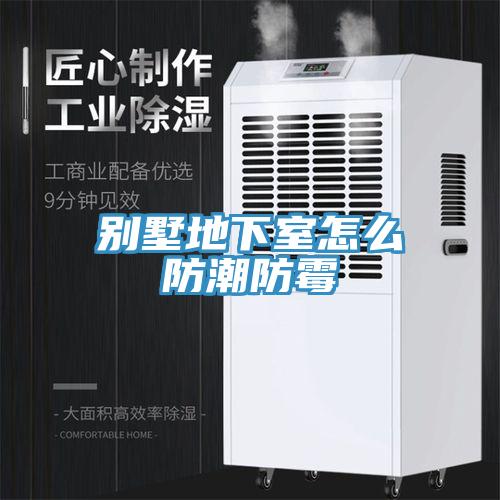 別墅地下室怎么防潮防霉