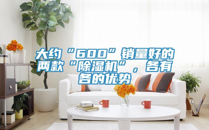 大約“600”銷量好的兩款“除濕機”，各有各的優勢