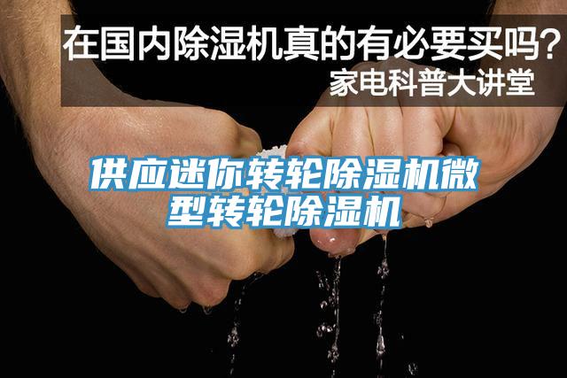 供應迷你轉輪除濕機微型轉輪除濕機