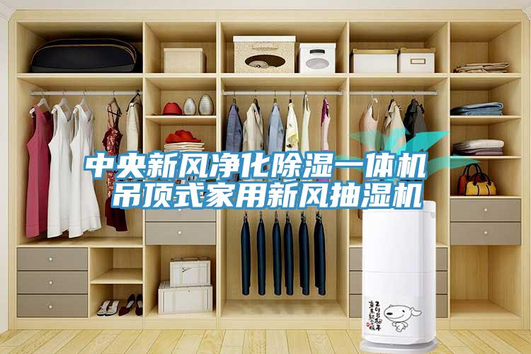 中央新風凈化除濕一體機 吊頂式家用新風抽濕機