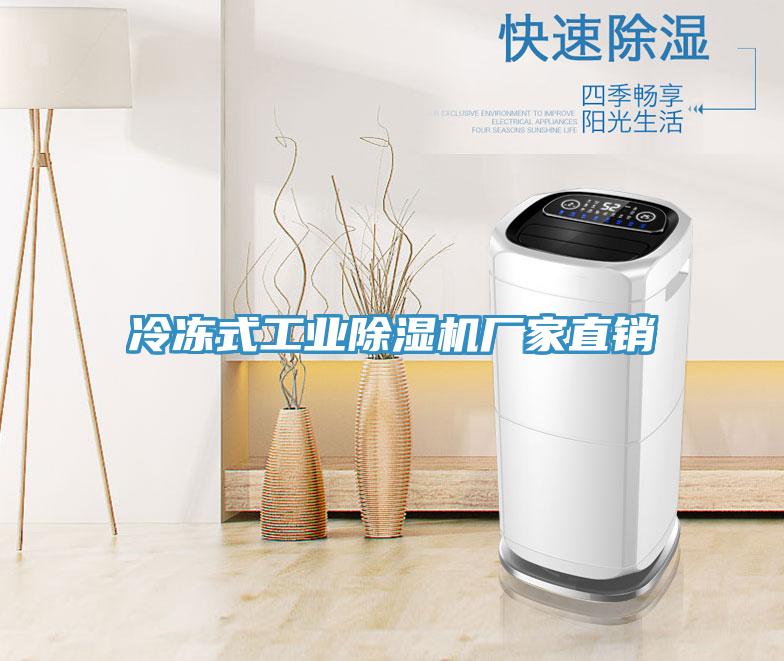 冷凍式工業除濕機廠家直銷