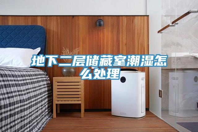 地下二層儲藏室潮濕怎么處理