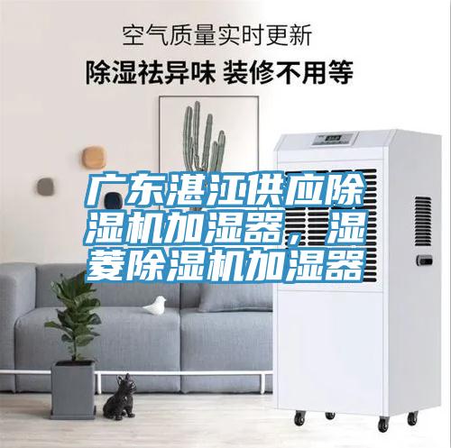 廣東湛江供應除濕機加濕器，濕菱除濕機加濕器