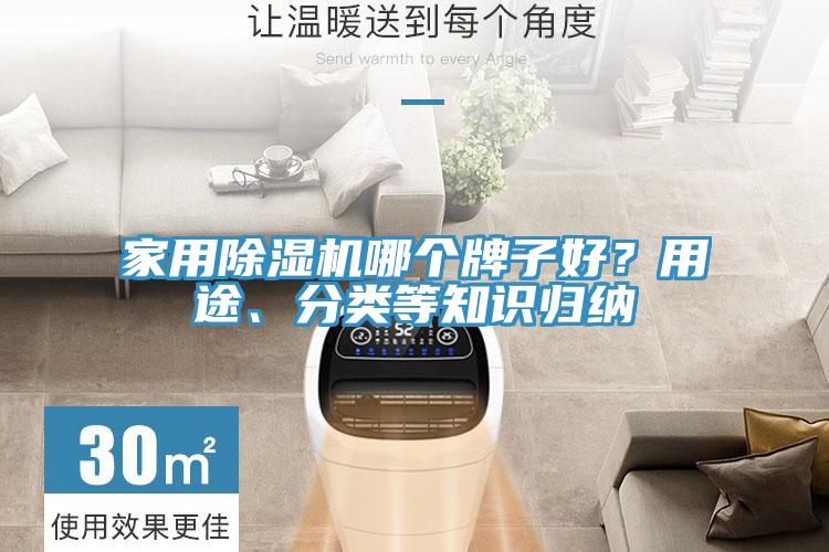 家用除濕機哪個牌子好？用途、分類等知識歸納