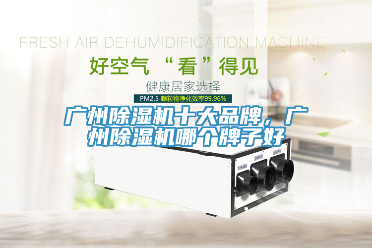 廣州除濕機十大品牌，廣州除濕機哪個牌子好