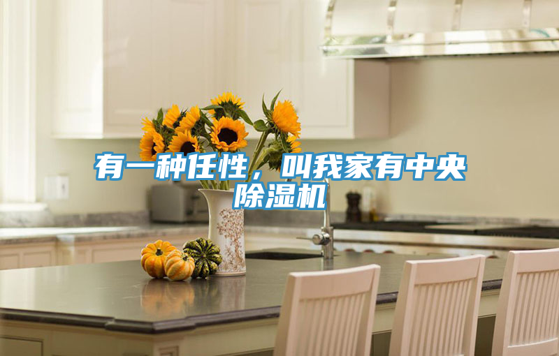 有一種任性，叫我家有中央除濕機
