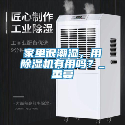 家里很潮濕，用除濕機有用嗎？_重復