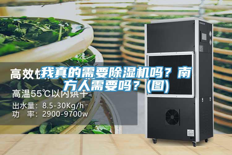 我真的需要除濕機嗎？南方人需要嗎？(圖)