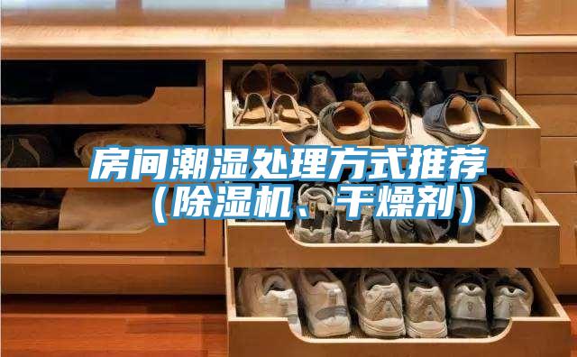 房間潮濕處理方式推薦（除濕機、干燥劑）
