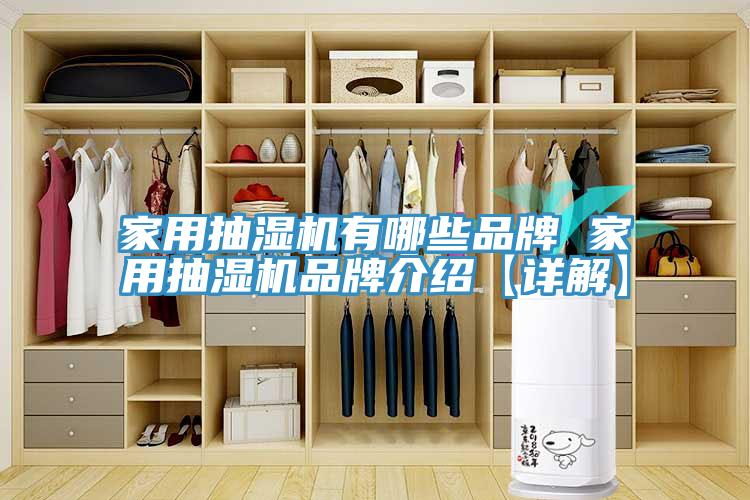 家用抽濕機有哪些品牌 家用抽濕機品牌介紹【詳解】