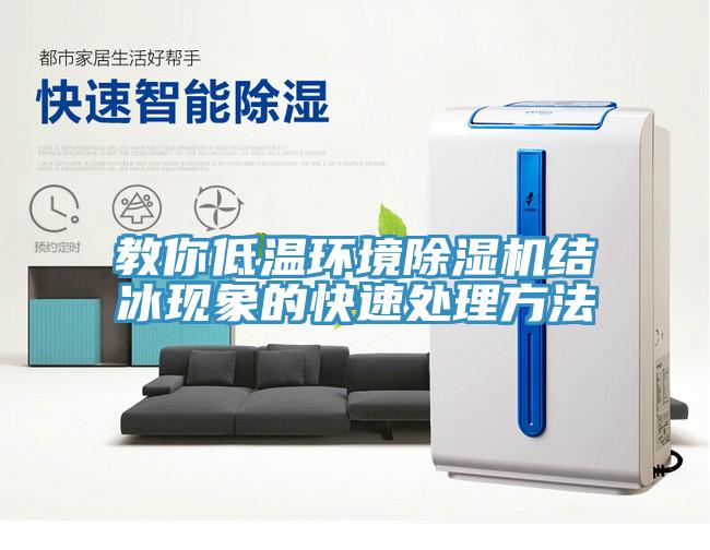 教你低溫環境除濕機結冰現象的快速處理方法
