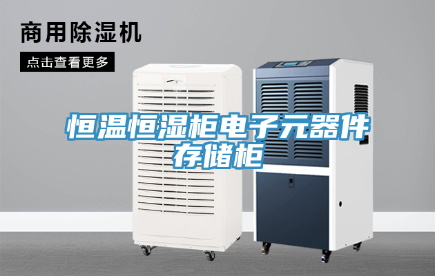 恒溫恒濕柜電子元器件存儲柜