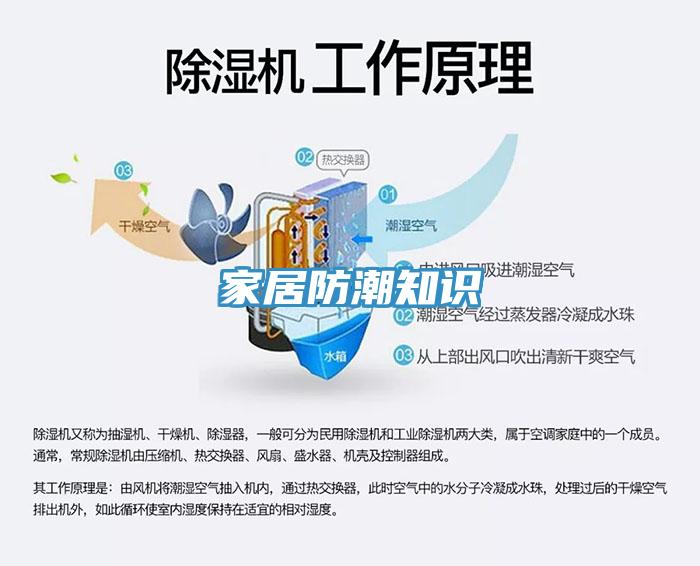 家居防潮知識
