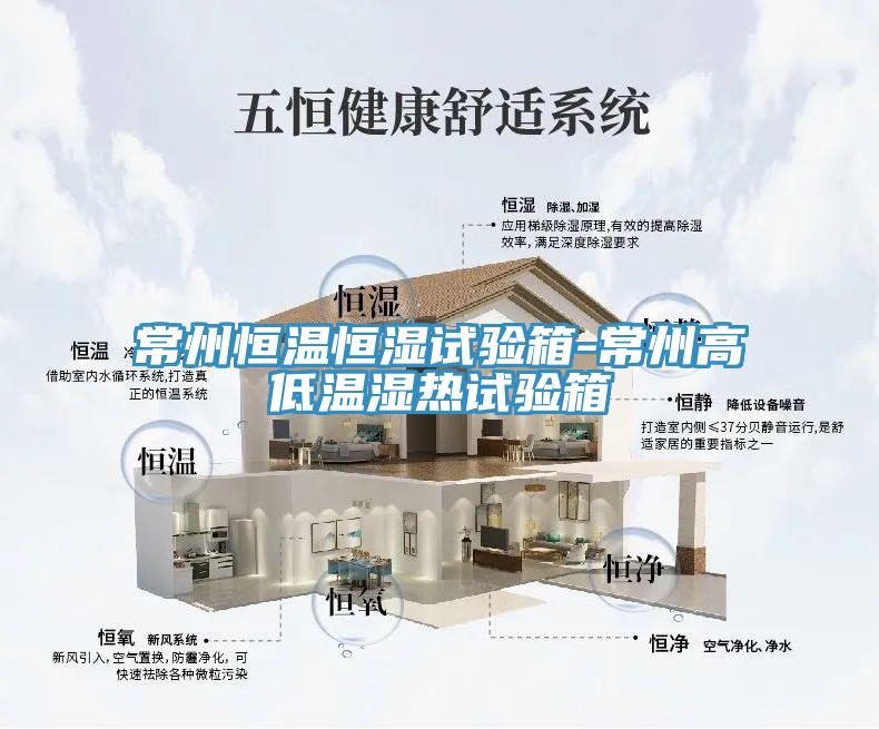 常州恒溫恒濕試驗箱-常州高低溫濕熱試驗箱