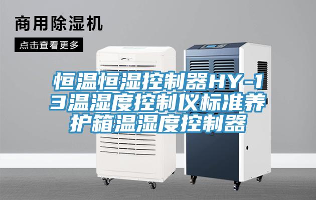 恒溫恒濕控制器HY-13溫濕度控制儀標準養護箱溫濕度控制器