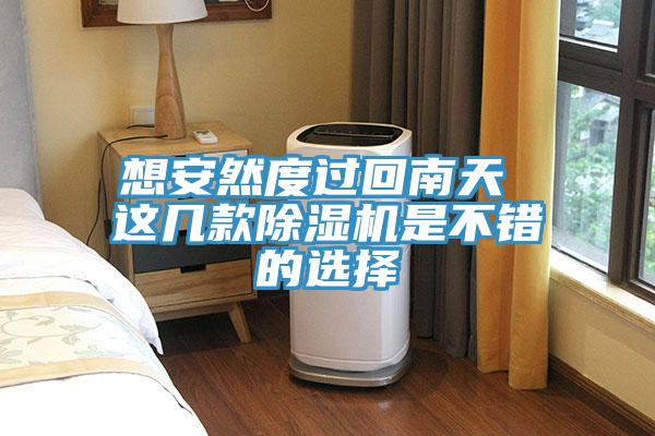 想安然度過回南天 這幾款除濕機是不錯的選擇