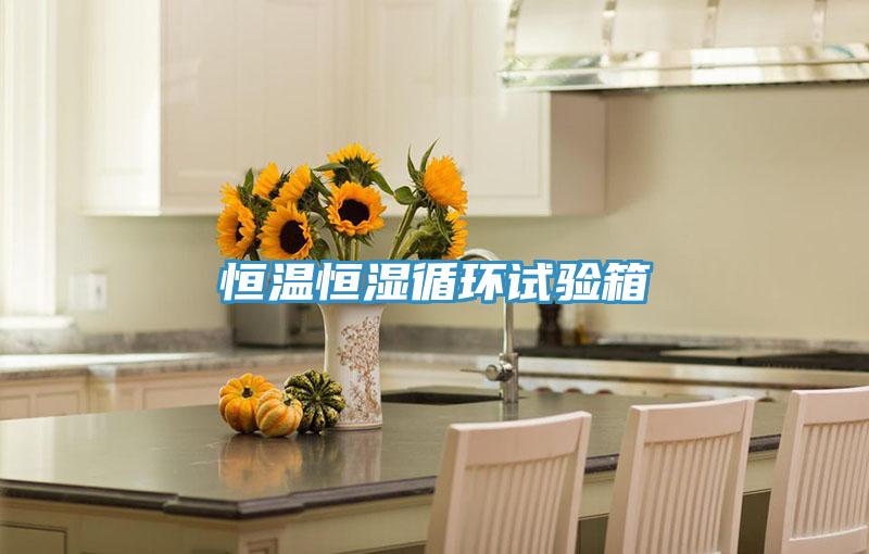 恒溫恒濕循環試驗箱
