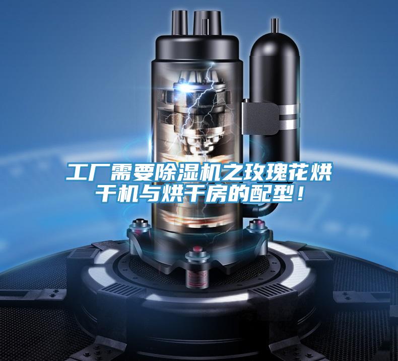工廠需要除濕機之玫瑰花烘干機與烘干房的配型！