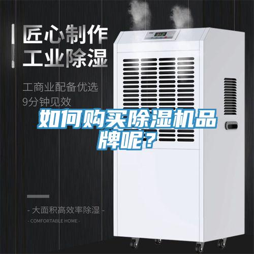 如何購買除濕機品牌呢？