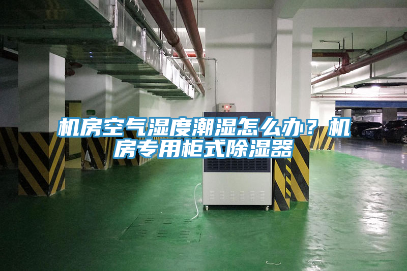 機房空氣濕度潮濕怎么辦？機房專用柜式除濕器