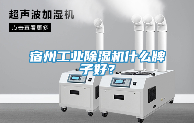 宿州工業除濕機什么牌子好？