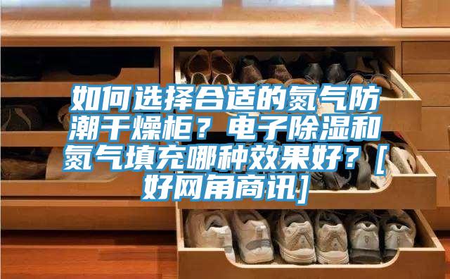 如何選擇合適的氮氣防潮干燥柜？電子除濕和氮氣填充哪種效果好？[好網角商訊]