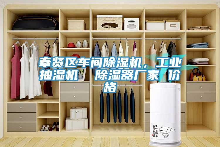 奉賢區車間除濕機，工業抽濕機  除濕器廠家 價格