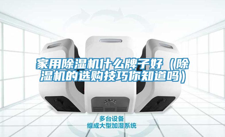 家用除濕機什么牌子好（除濕機的選購技巧你知道嗎）