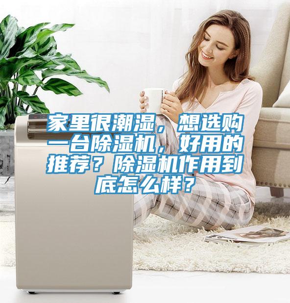 家里很潮濕，想選購一臺除濕機，好用的推薦？除濕機作用到底怎么樣？