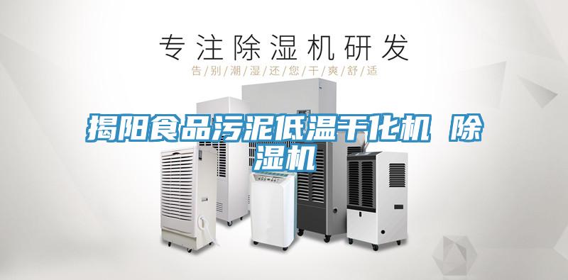 揭陽食品污泥低溫干化機 除濕機