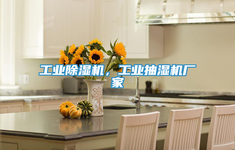 工業除濕機，工業抽濕機廠家