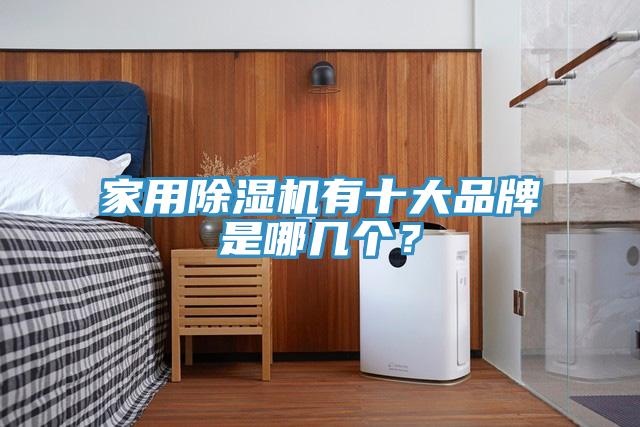 家用除濕機有十大品牌是哪幾個？