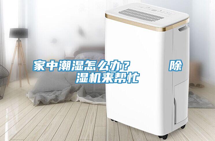 家中潮濕怎么辦？    除濕機來幫忙