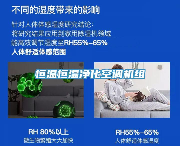 恒溫恒濕凈化空調機組