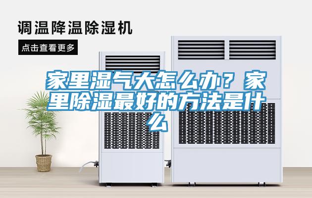 家里濕氣大怎么辦？家里除濕最好的方法是什么