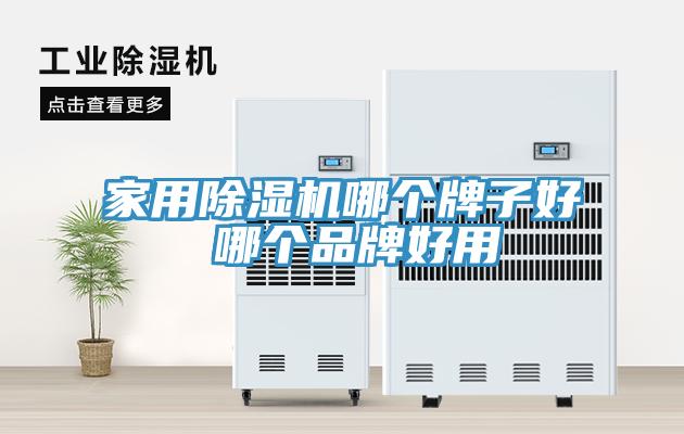 家用除濕機哪個牌子好 哪個品牌好用