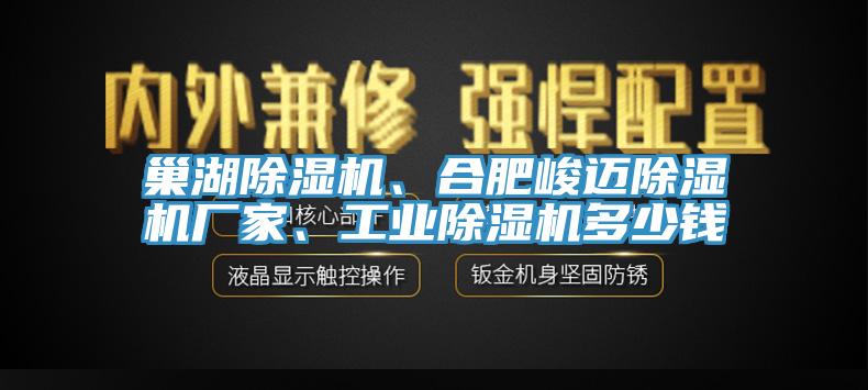 巢湖除濕機、合肥峻邁除濕機廠家、工業除濕機多少錢