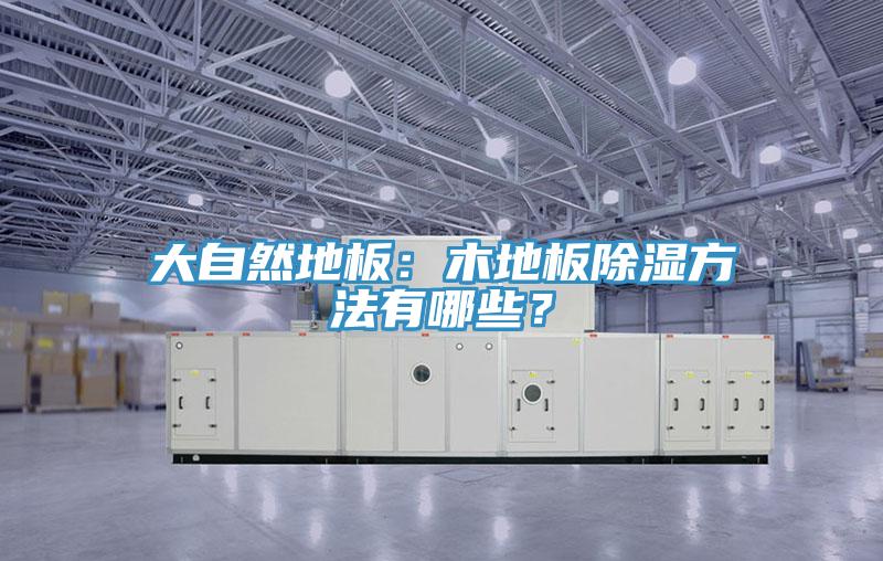 大自然地板：木地板除濕方法有哪些？