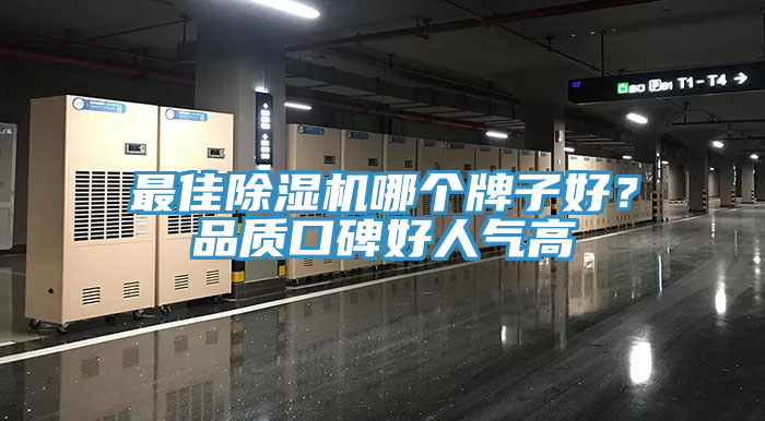 最佳除濕機哪個牌子好？品質口碑好人氣高