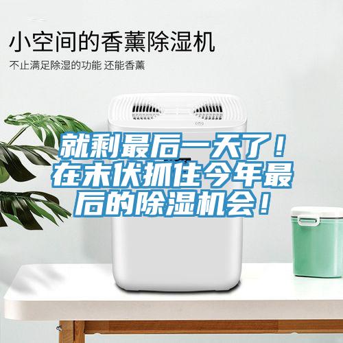 就剩最后一天了！在末伏抓住今年最后的除濕機會！